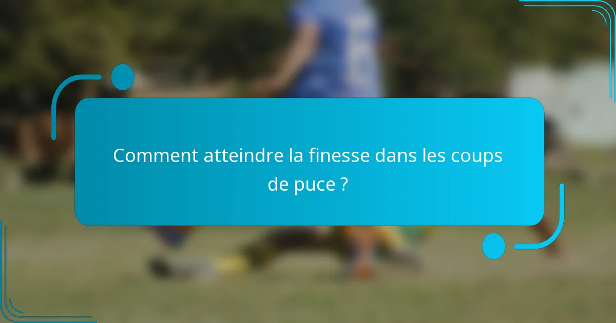 Comment atteindre la finesse dans les coups de puce ?